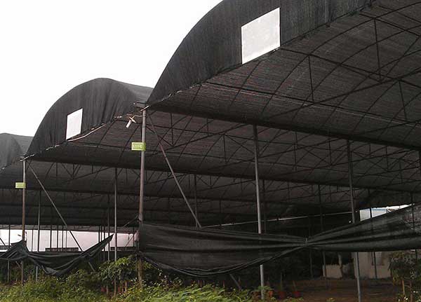 shade-net-(3).jpg