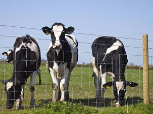 Characteristics and uses of field fence