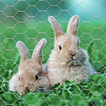 Chicken wire for feeding chicken and other animals
