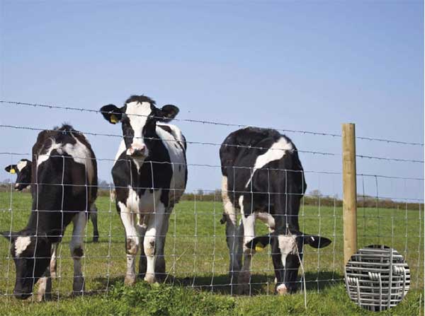 Farm Fence / Field Fence