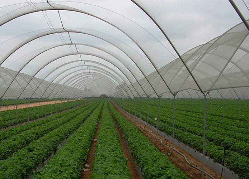 THE STORAGE METHOD OF SHADE NET FROM QUNKUN METAL