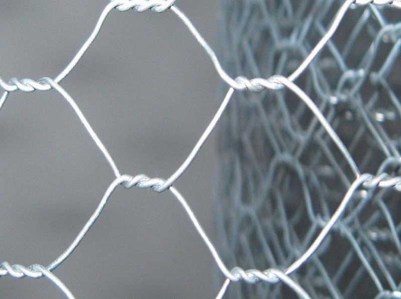 Chicken wire mesh