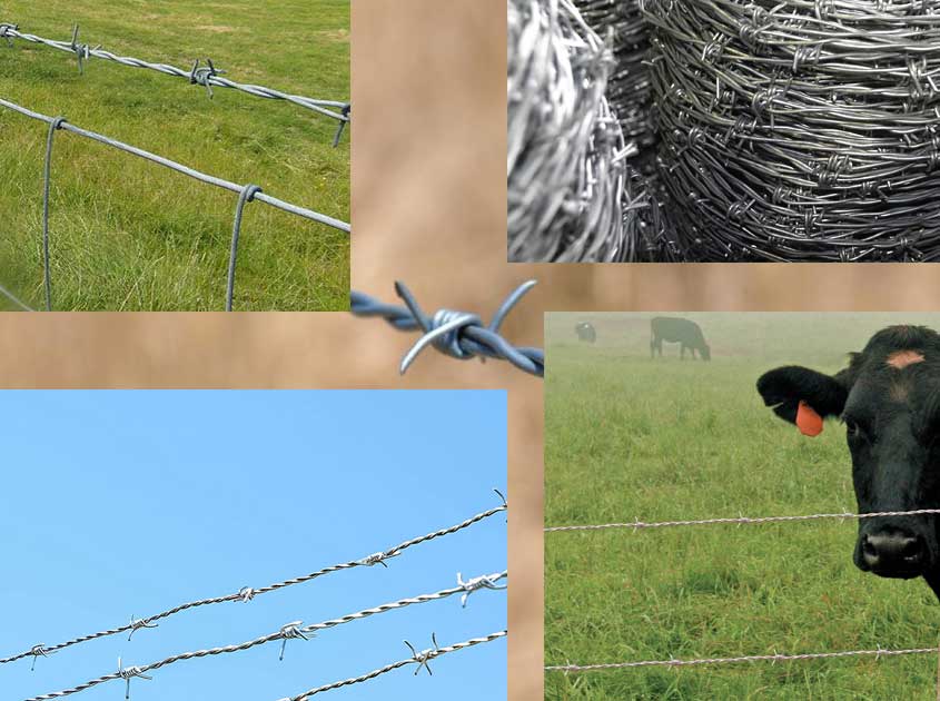 Where to use the barbed wire?cid=3