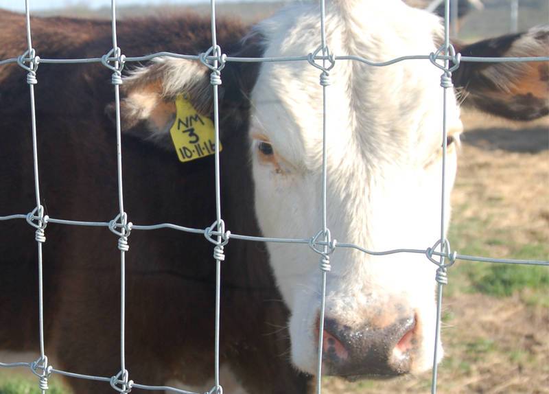Application of wire mesh in agricultural field