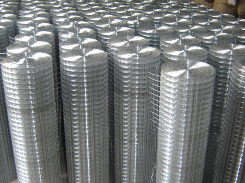 Galvanized Wire Mesh
