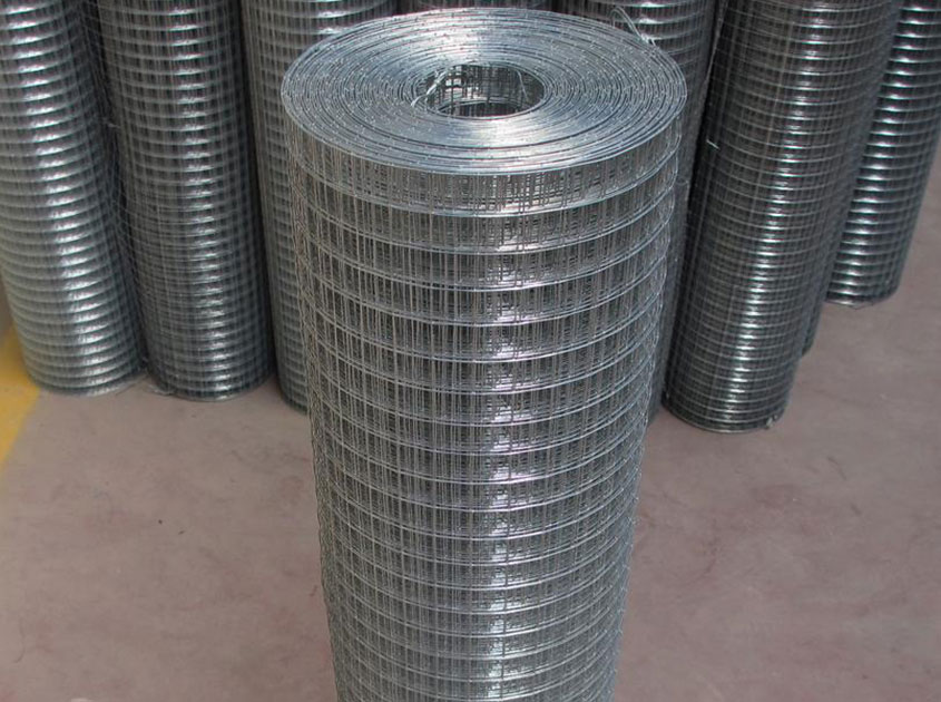 Galvanized Wire Mesh