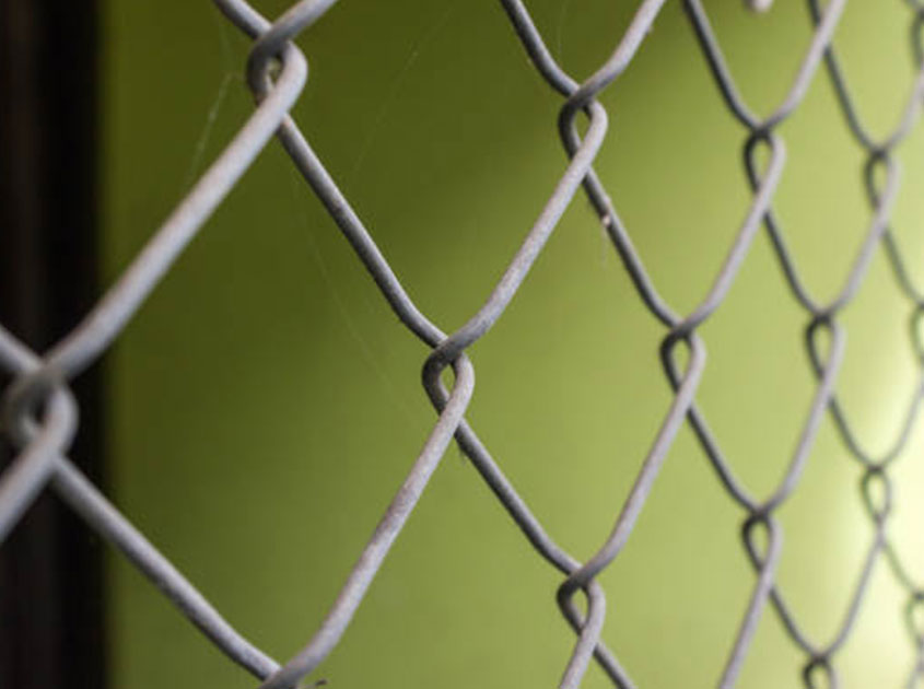Chain Link Fence - Art Inheritance and Innovation