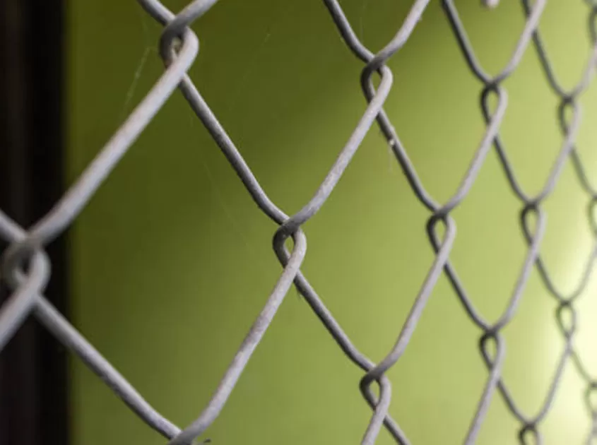 Chain Link Fence - Art Inheritance and Innovation