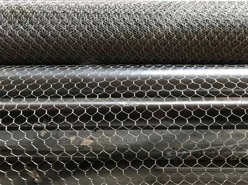 Chicken Wire Mesh Security: Ideal for Coexistence of Protection and Safety