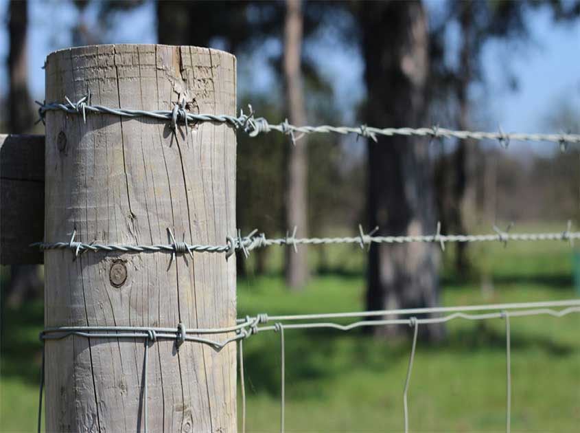 Application and advantages of barbed wire in agricultural greenhouses