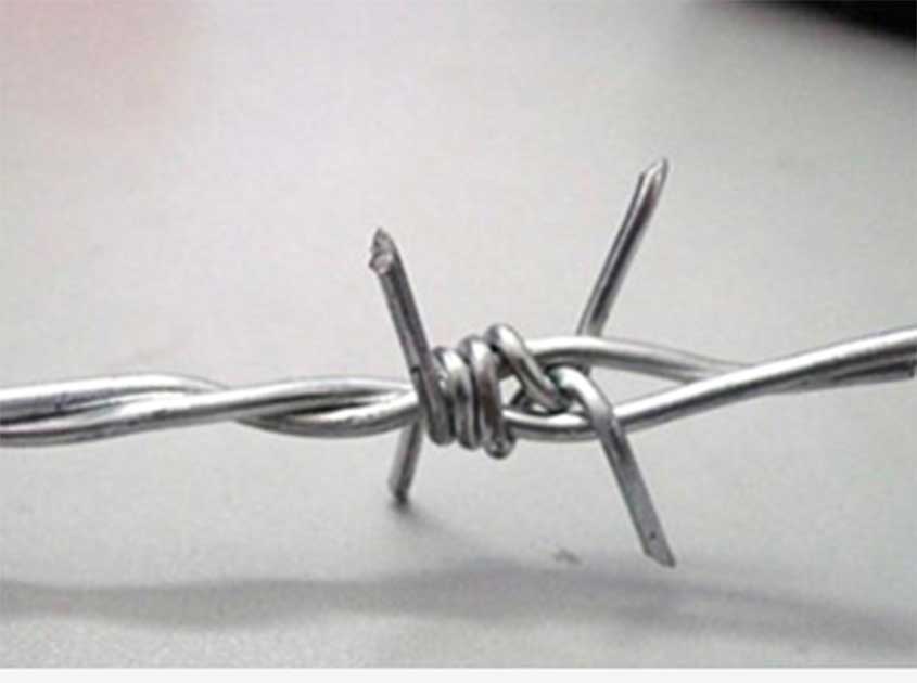 Application and advantages of barbed wire in agricultural greenhouses
