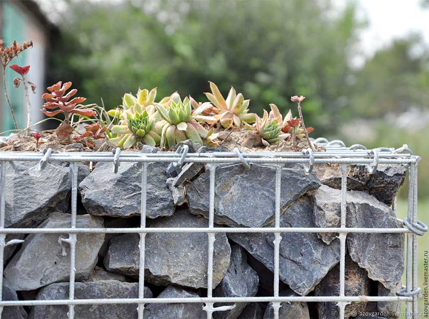 Multifunctional application of electric welded gabion net in environmental protection engineering