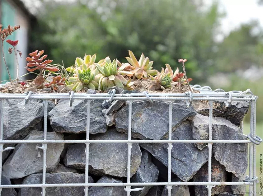 Multifunctional application of electric welded gabion net in environmental protection engineering