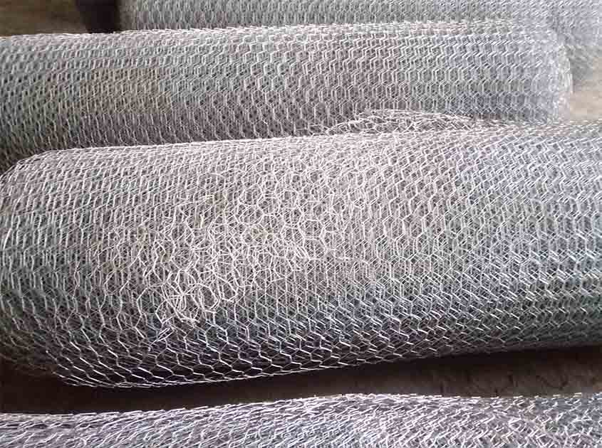 Unleashing the Versatility of Chicken Wire Netting