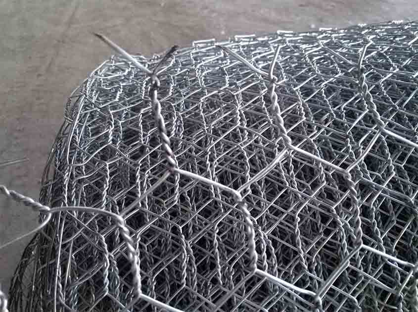 Unleashing the Versatility of Chicken Wire Netting