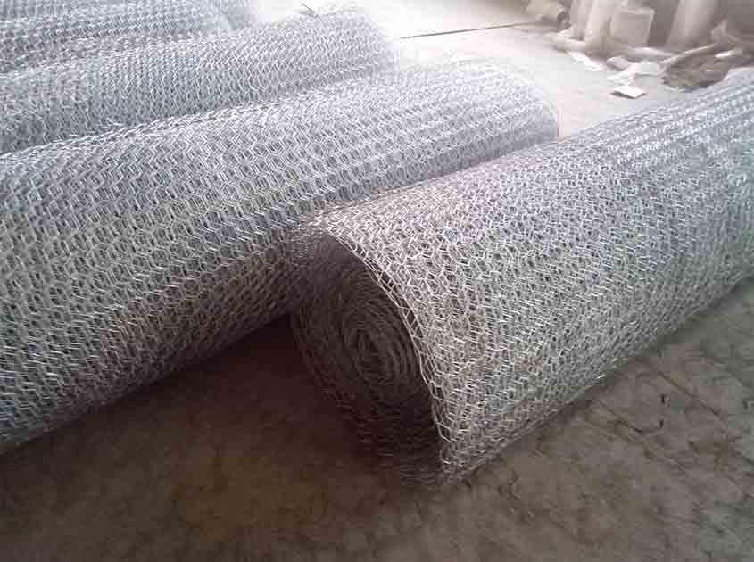 Chicken Wire Netting: A Practical Guide to Protecting Your Property from Intruders