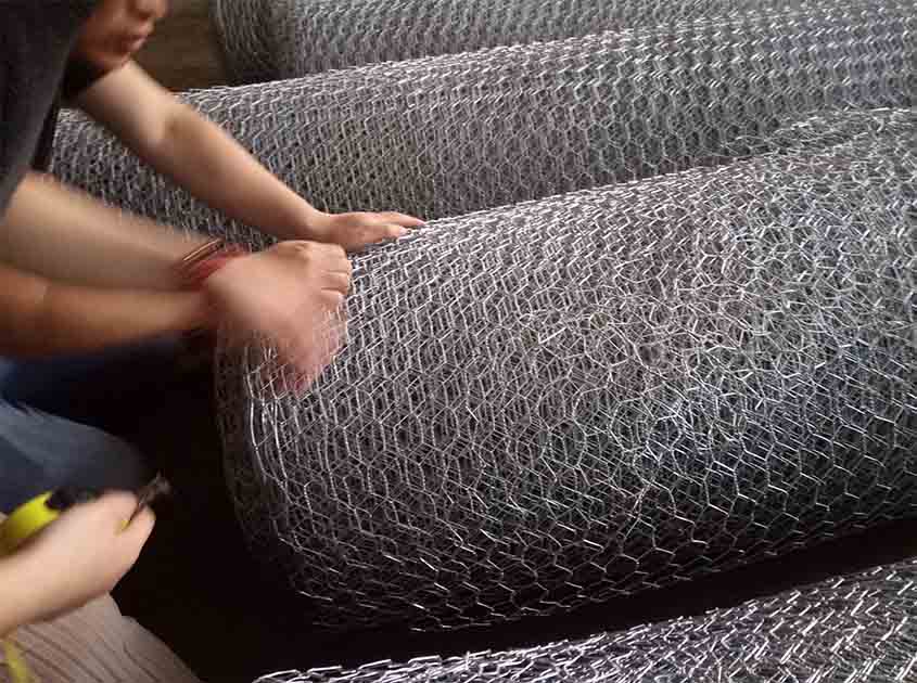 Chicken Wire Netting: A Practical Guide to Protecting Your Property from Intruders