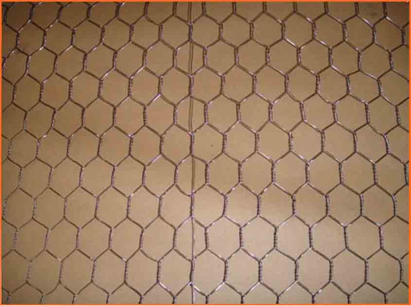 Versatile Chicken Wire Mesh: An Essential Material for Agriculture and Construction