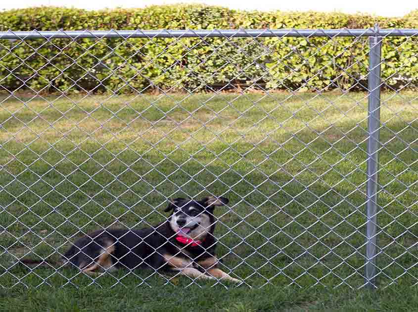 Chain Link Fence Rolls for Airport Perimeters: Meeting Strict Security Standards