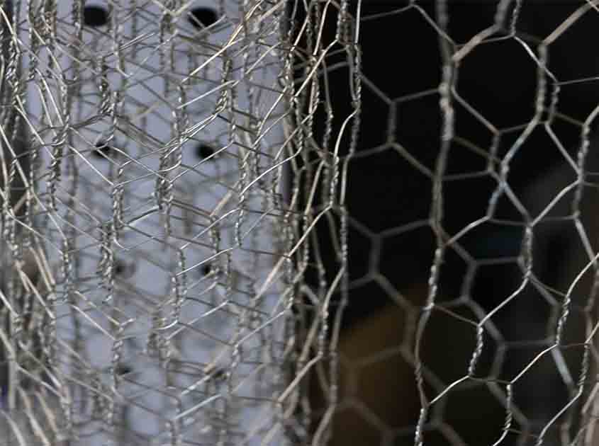 Can chicken wire mesh be used for landscaping purposes