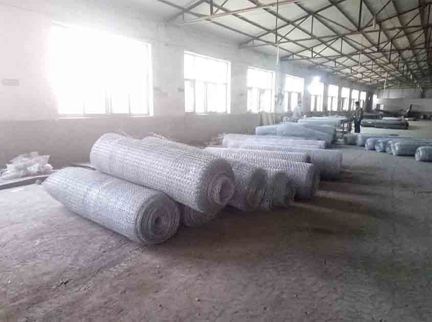 Can chicken wire mesh be used as a barrier against rodents and pests