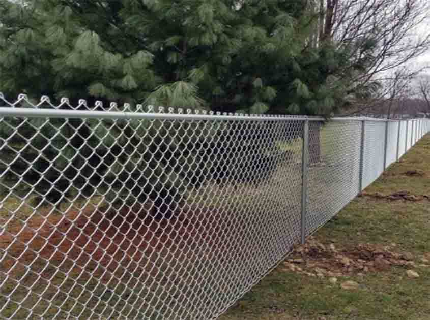 Can Chain Link Fence Rolls Help Prevent Animal Intrusions in Gardens