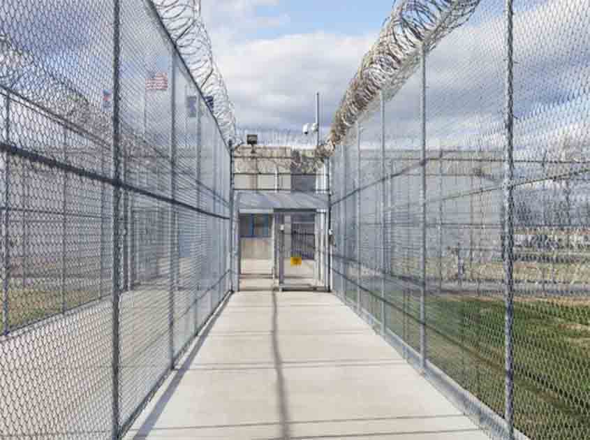 Can Chain Link Fence Rolls Help Prevent Animal Intrusions in Gardens