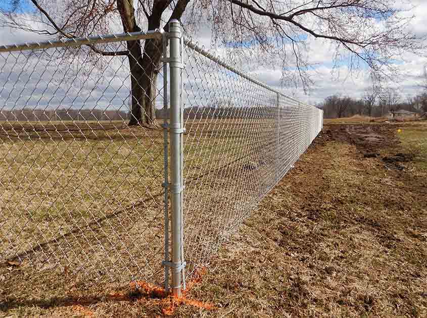 Can Chain Link Fence Rolls Help Prevent Animal Intrusions in Gardens