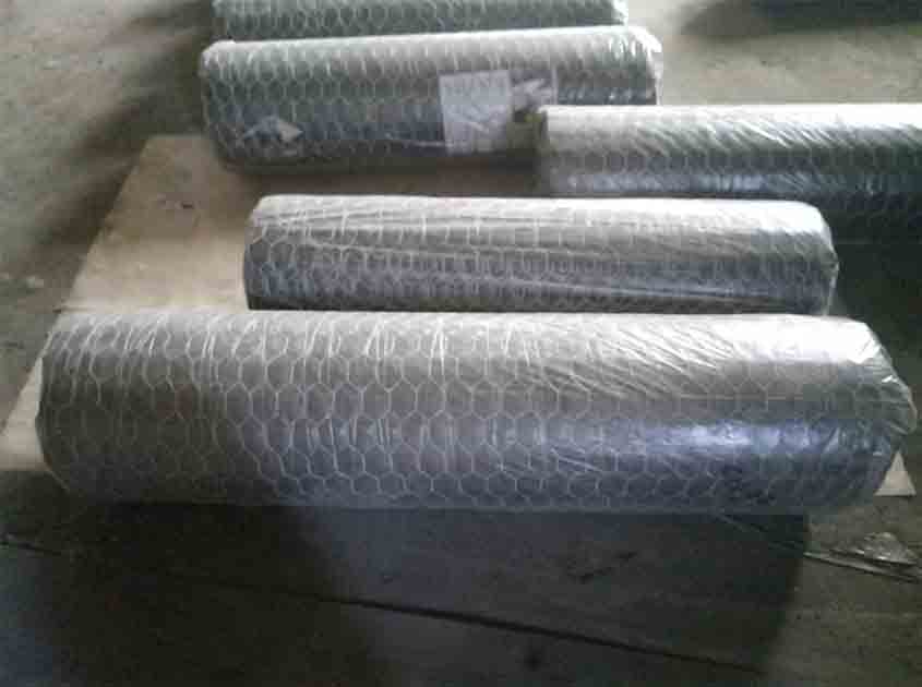 Assessing the Potential Risks of Using Chicken Wire Mesh in Certain Climates