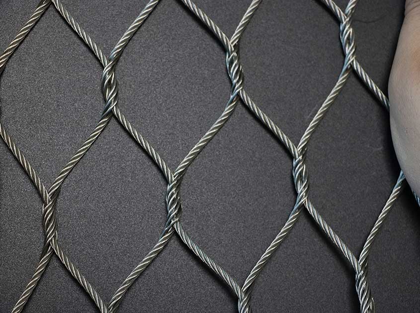 Wire Rope Mesh: A Flexible Solution for Green Facades and Trellises