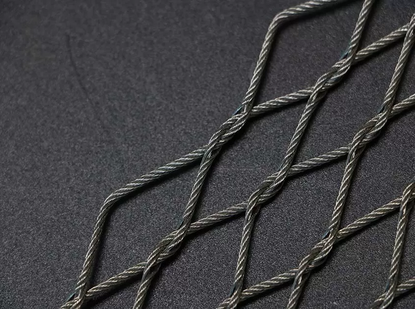 The Role of Wire Rope Mesh in Aviaries and Bird Enclosures
