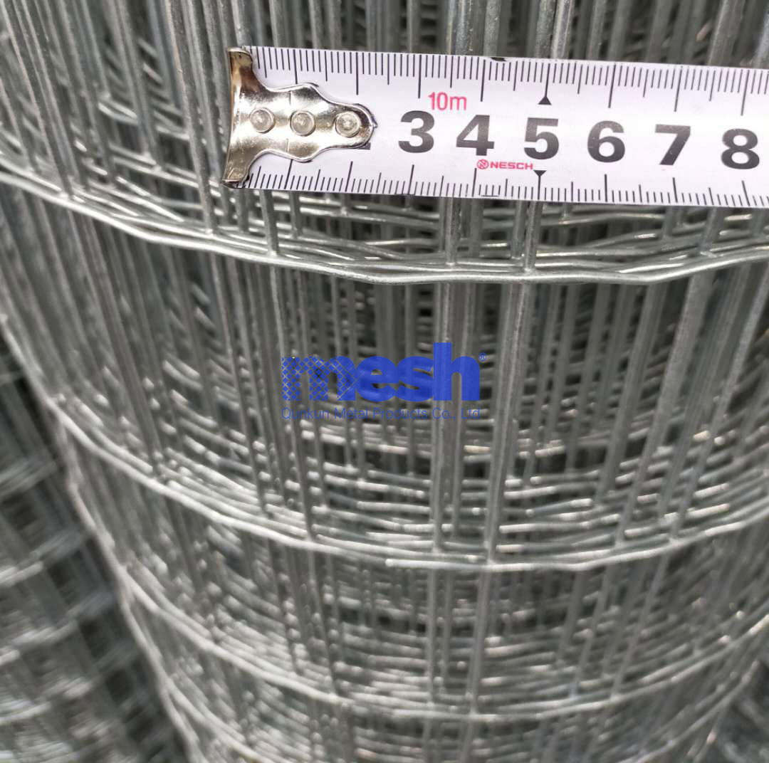 Holland Wire Mesh: A Trusted Guardian for Outdoor Projects