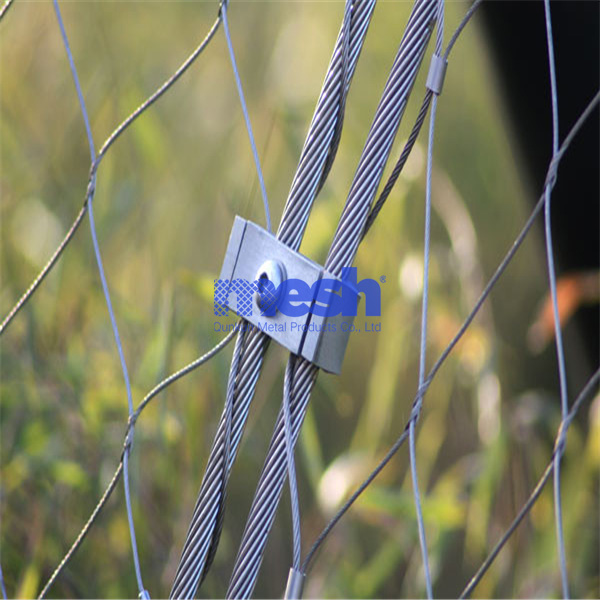 Wire Rope Mesh in Trellis Systems: Supporting Greenery