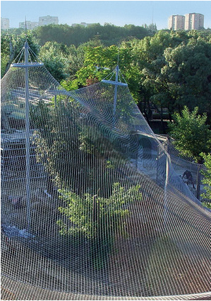 Wire Rope Mesh for Aviaries: A Bird's-Eye View of Safety