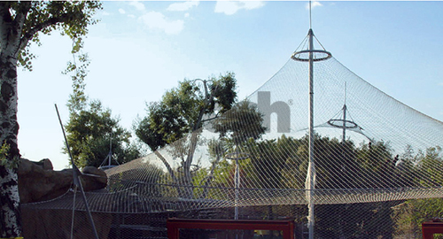 Wire Rope Mesh for Aviaries: A Bird's-Eye View of Safety