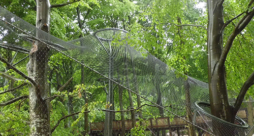 The Science Behind Wire Rope Mesh: Material and Composition