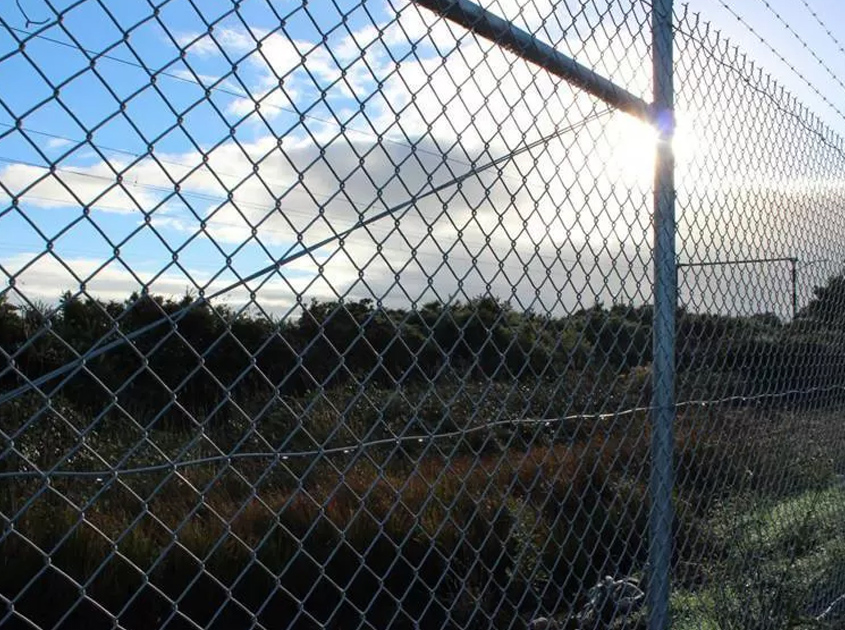 Chain Link Fence