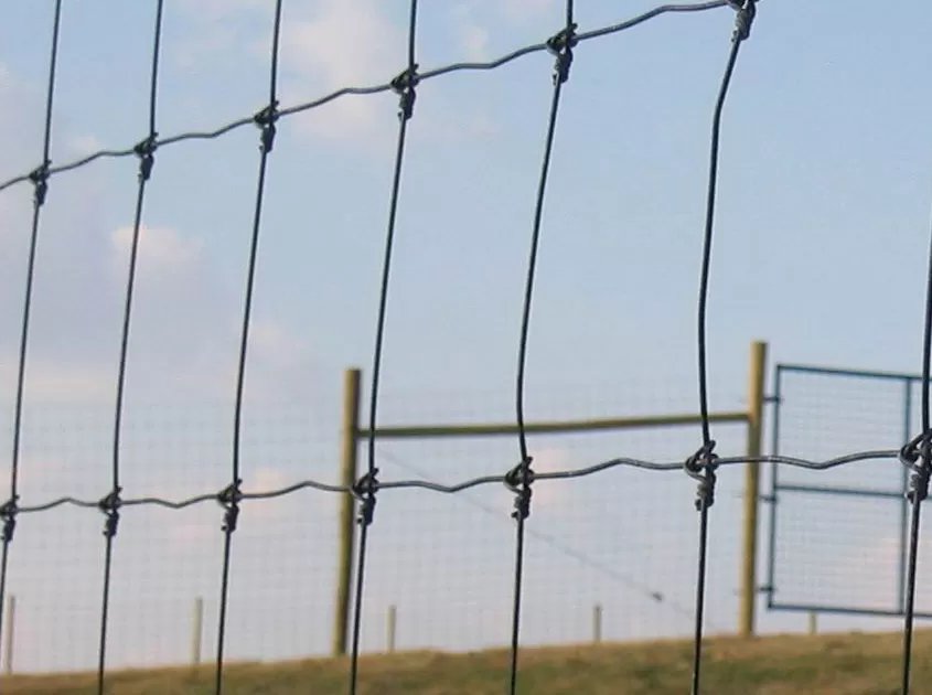 Economical and practical farm fencing solutions