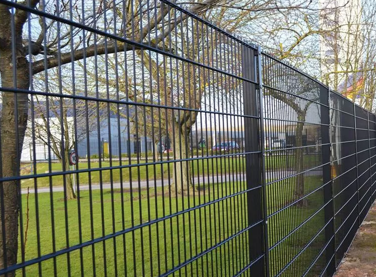 Double Wire Fencing
