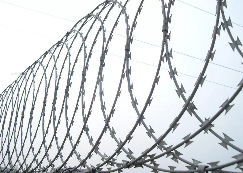 Concertina Razor Wire