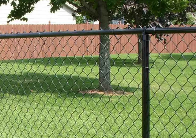  PVC Coated Chain Link Fence