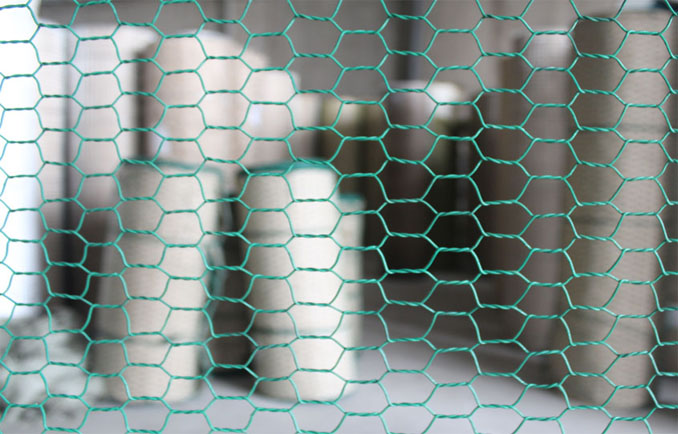 Chicken Wire Mesh
