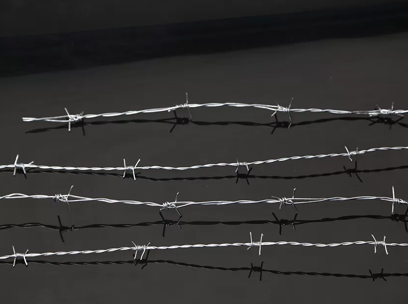 Barbed Wire