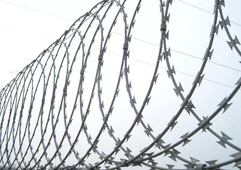 Concertina Razor Wire