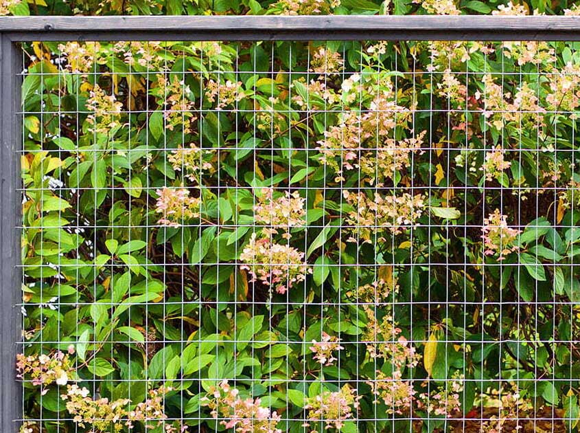 The Advantages of Galvanized Wire Mesh for Long-Term Outdoor Use