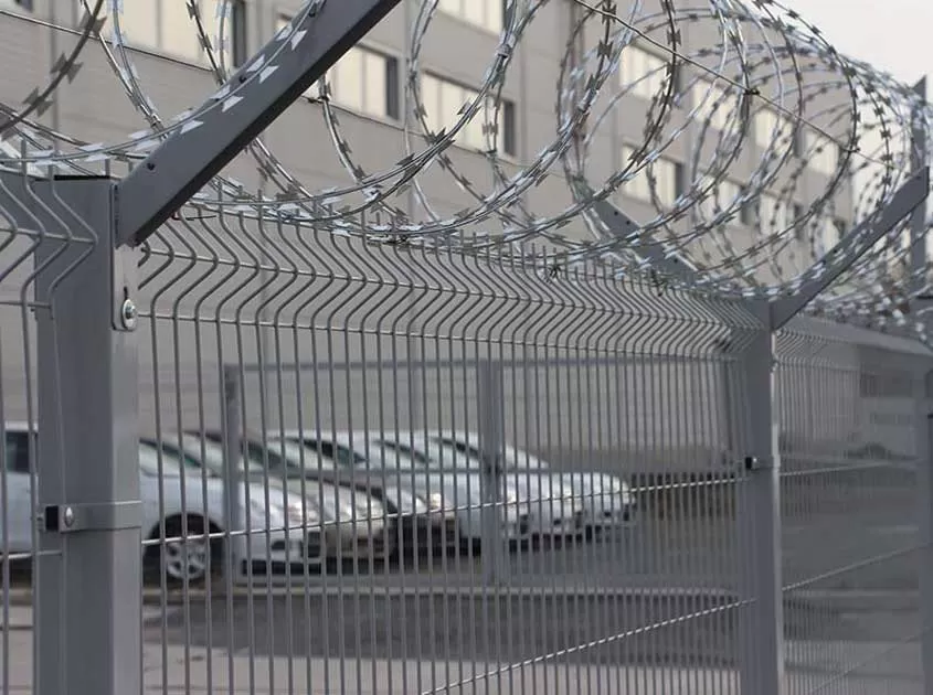 Galvanized Welded Wire Mesh Roll Manufacturer China