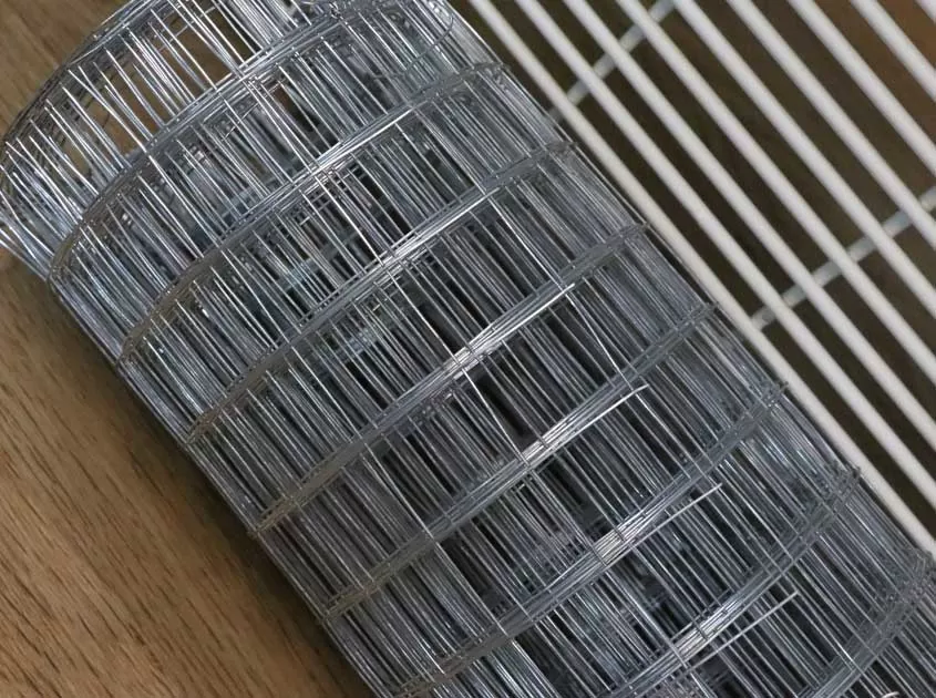 What Is Galvanized Wire Mesh and Why Is It Popular?