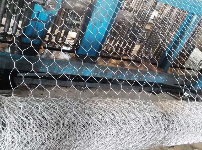 How to Choose the Right Galvanized Wire Mesh: Types, Specifications and Buying Guide How to Choose the Right Galvanized Wire Mesh: Types, Specifications and Buying Guide