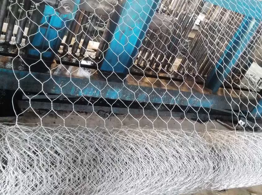 How to Choose the Right Galvanized Wire Mesh: Types, Specifications and Buying Guide