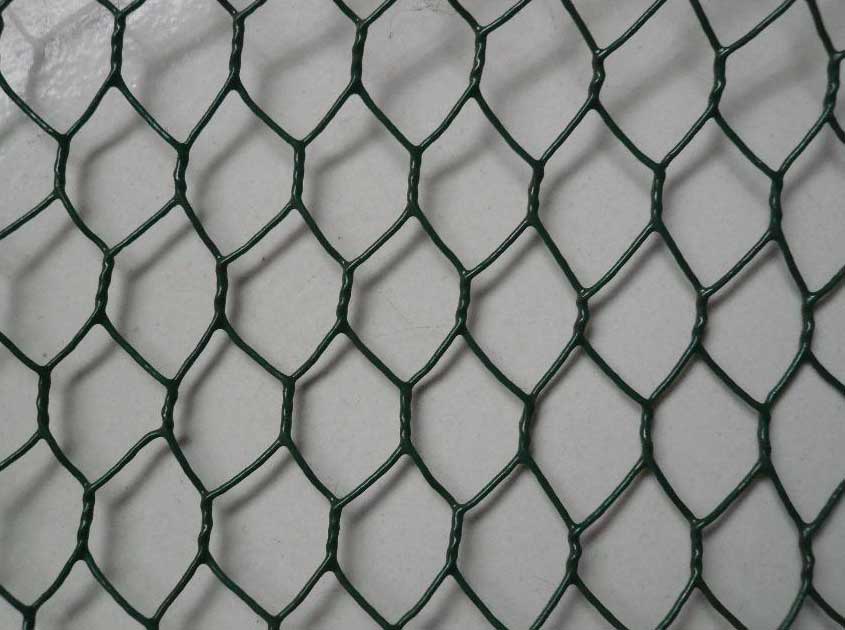 What Mesh Size Is Suitable for Chicken Wire Mesh? A Practical Selection Guide What Mesh Size Is Suitable for Chicken Wire Mesh? A Practical Selection Guide